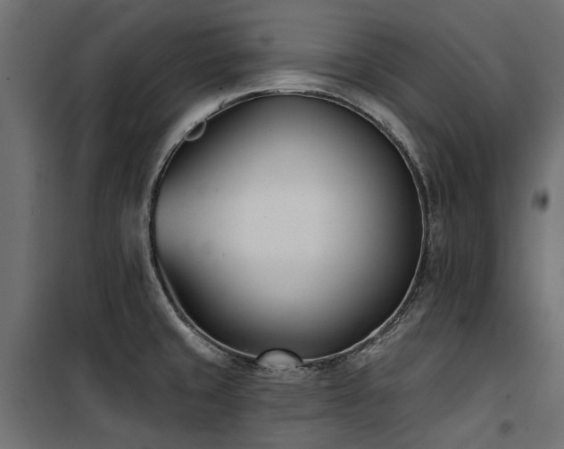 X0000100871429200806201230