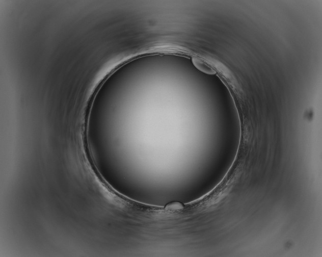 X0000100871430200806201230