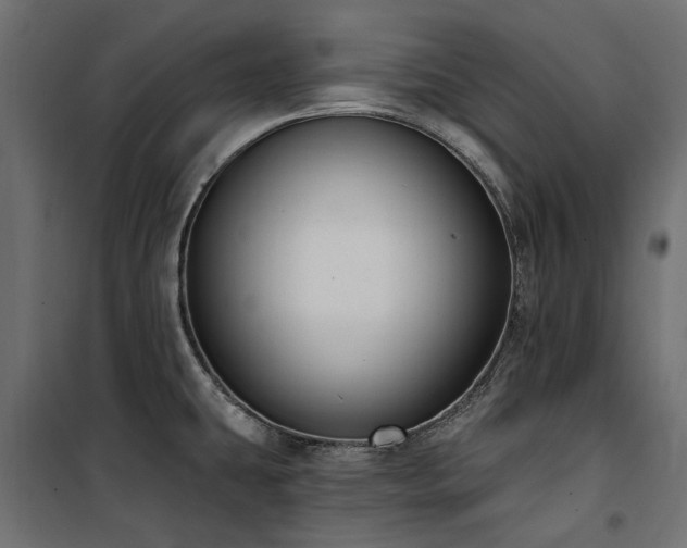 X0000100871431200806201230