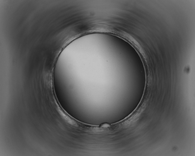 X0000100871433200806201230
