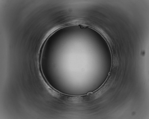 X0000100871434200806201230