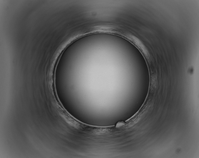X0000100871435200806201230