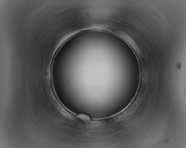 X0000100871436200806201230