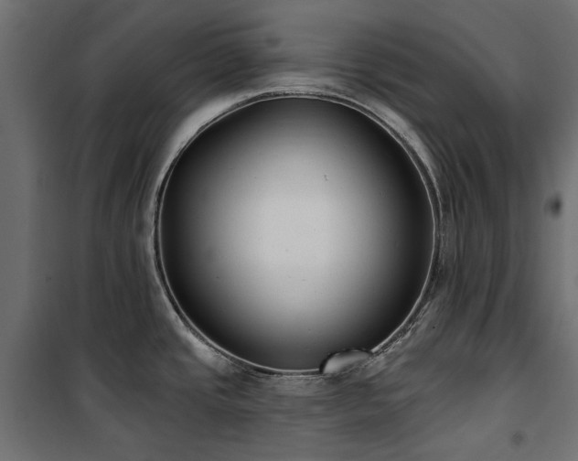 X0000100871437200806201230