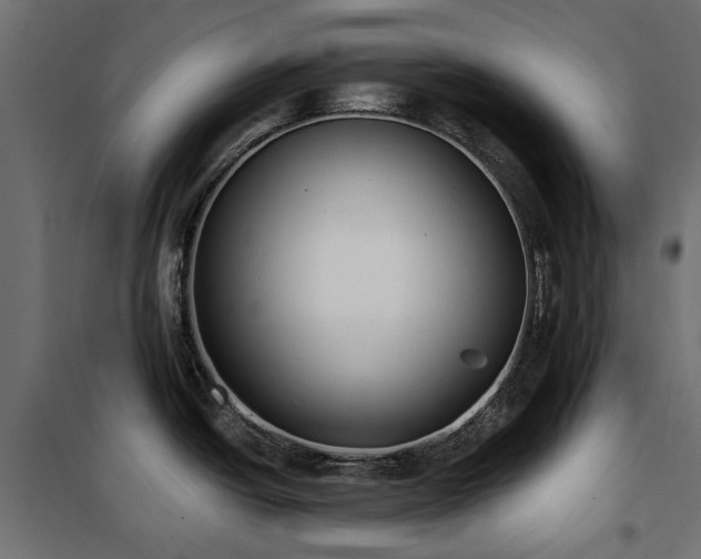X0000100871438200806201230
