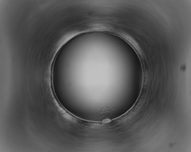 X0000100871439200806201230