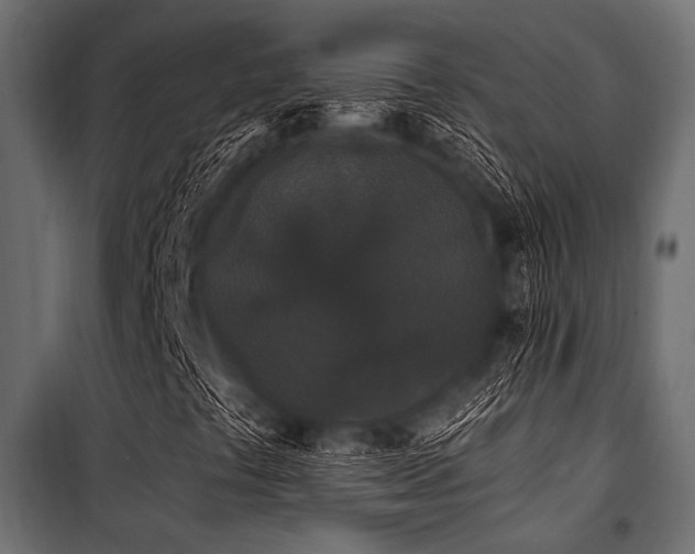 X0000100871441200806201229
