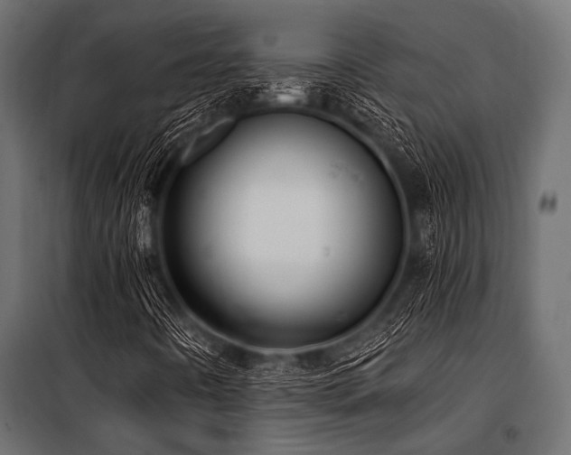 X0000100871442200806201229
