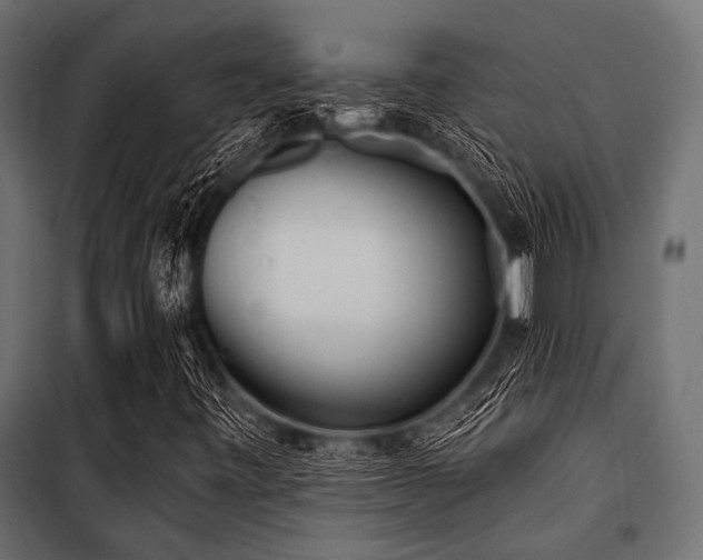 X0000100871443200806201229