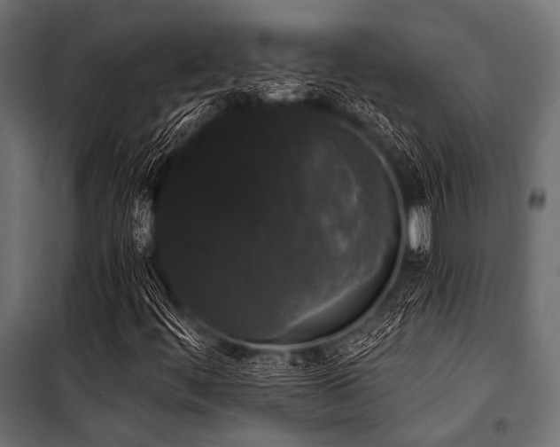X0000100871444200806201229