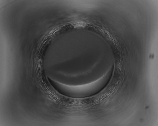 X0000100871445200806201229