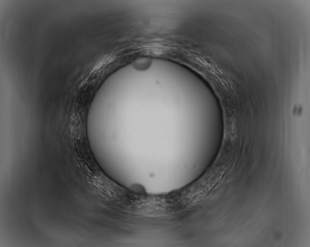 X0000100871446200806201229