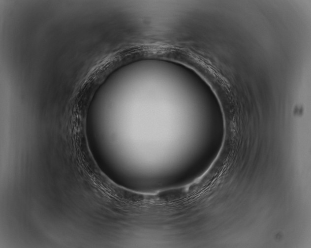 X0000100871447200806201229