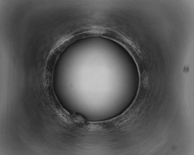 X0000100871448200806201229