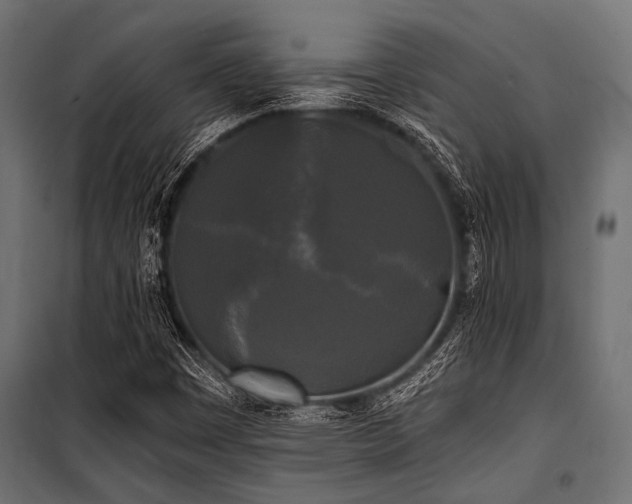 X0000100871449200806201229