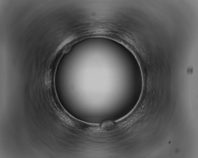 X0000100871450200806201229