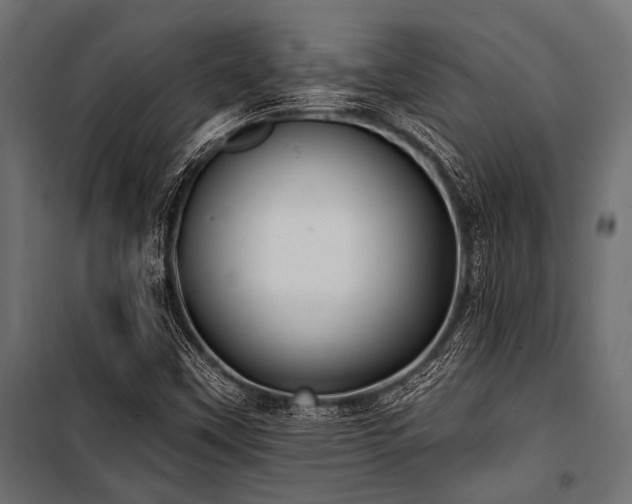 X0000100871451200806201229