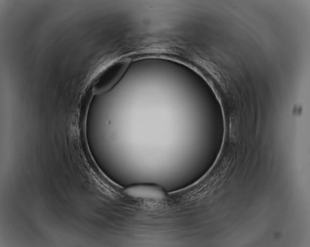 X0000100871452200806201229