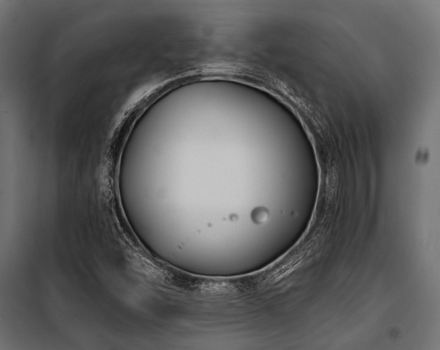 X0000100871454200806201229