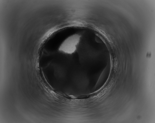 X0000100871455200806201229