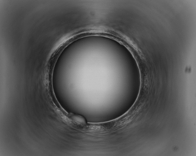 X0000100871456200806201229