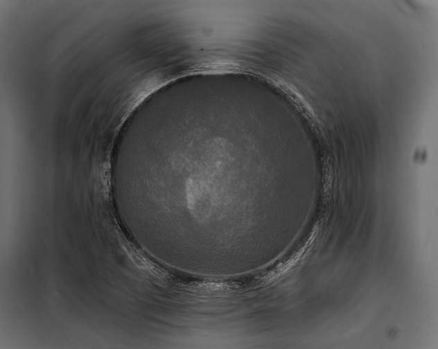 X0000100871457200806201229