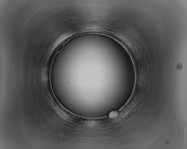 X0000100871458200806201229