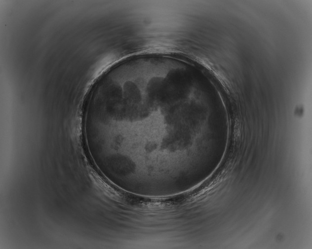 X0000100871459200806201229