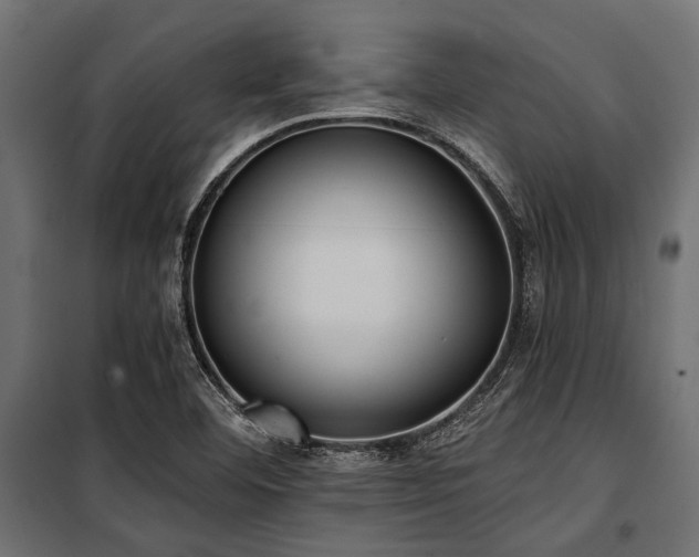 X0000100871460200806201229