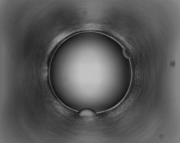 X0000100871461200806201229