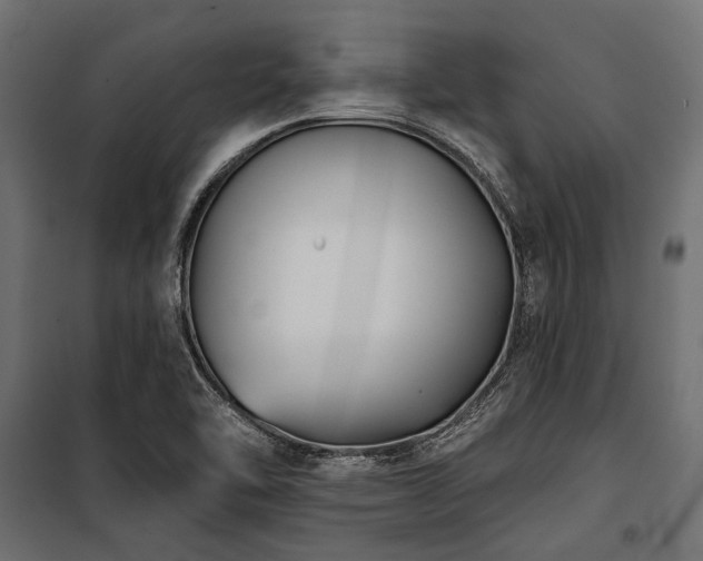 X0000100871462200806201229