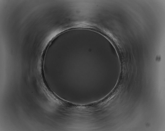 X0000100871463200806201229