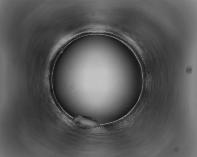 X0000100871464200806201229