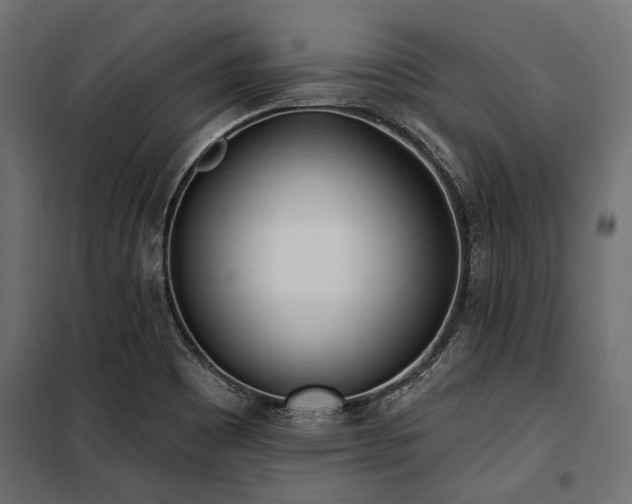 X0000100871465200806201229