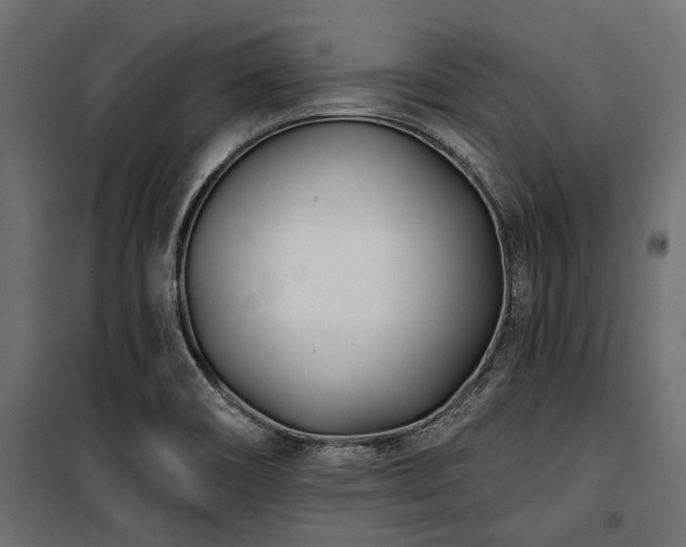 X0000100871466200806201229