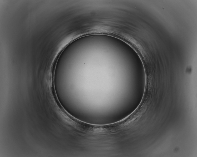 X0000100871467200806201229