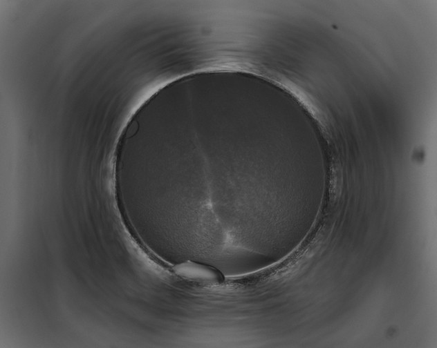 X0000100871468200806201229