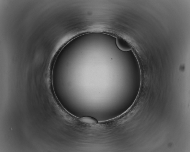 X0000100871469200806201229