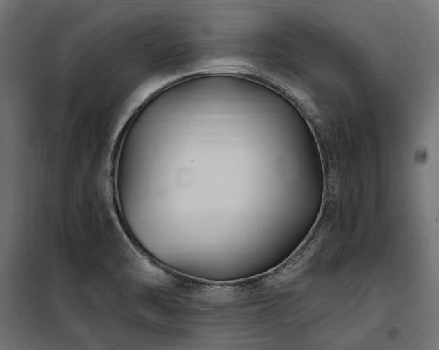 X0000100871470200806201229