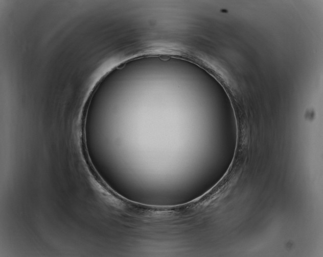 X0000100871471200806201229