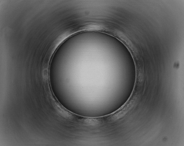 X0000100871473200806201229