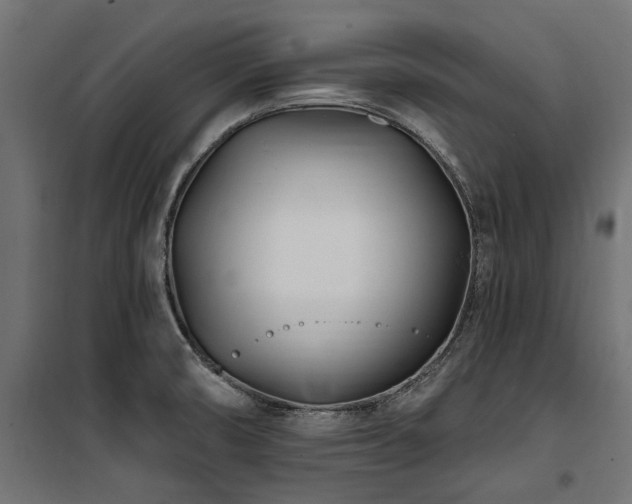 X0000100871474200806201229