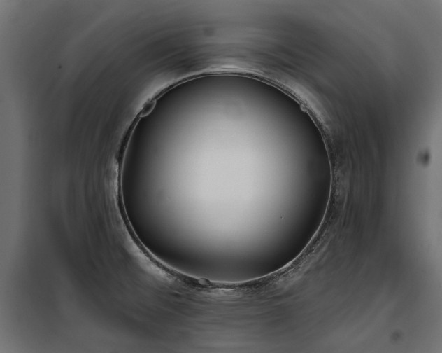 X0000100871476200806201229