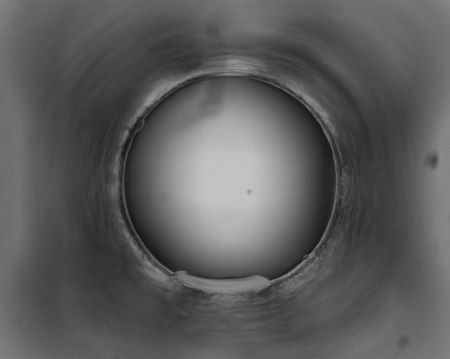 X0000100871477200806201229