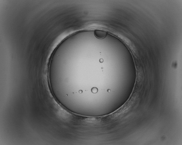 X0000100871478200806201229