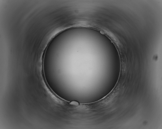 X0000100871479200806201229