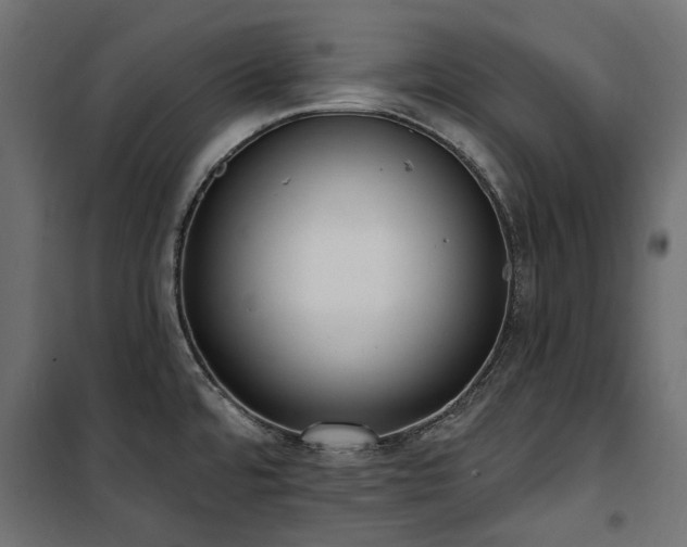 X0000100871480200806201229