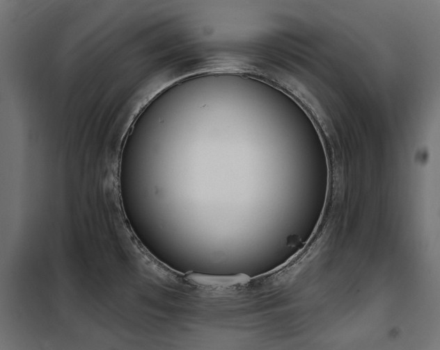 X0000100871481200806201229