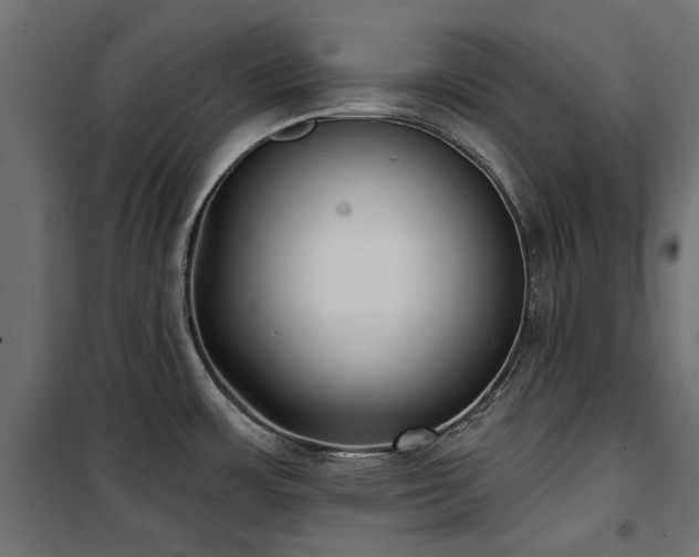 X0000100871483200806201229
