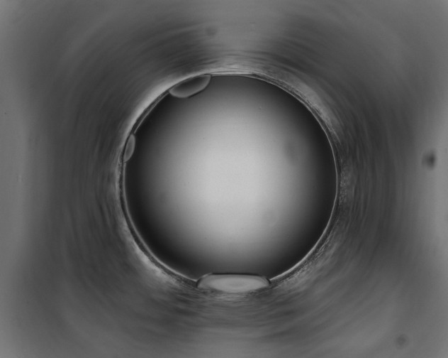 X0000100871484200806201229